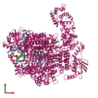 PDB entry 6z8k coloured by chain, front view.