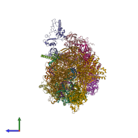 PDB entry 6z9q coloured by chain, side view.