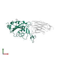 Spike protein S1 in PDB entry 6zbp, assembly 1, front view.
