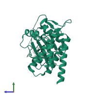 Tyrosine-protein kinase SYK in PDB entry 6zcy, assembly 1, side view.