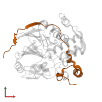 Phosphatase and actin regulator 1 in PDB entry 6zeh, assembly 2, front view.