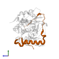 Phosphatase and actin regulator 1 in PDB entry 6zeh, assembly 2, side view.