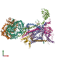 PDB entry 6zfs coloured by chain, front view.
