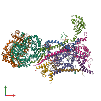 PDB entry 6zfu coloured by chain, front view.