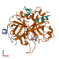 PDB entry 6zgo coloured by chain, front view.
