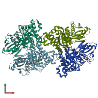 PDB entry 6zgv coloured by chain, front view.
