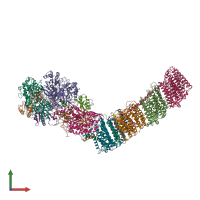 PDB entry 6ziy coloured by chain, front view.