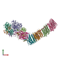 PDB entry 6zjn coloured by chain, front view.