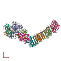 PDB entry 6zjy coloured by chain, front view.