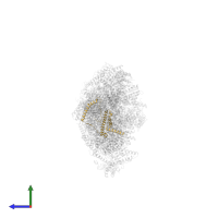 Mitochondrial complex I, PDSW subunit in PDB entry 6zki, assembly 1, side view.