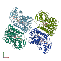 PDB entry 6zll coloured by chain, front view.