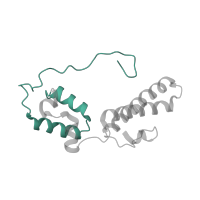 The deposited structure of PDB entry 6zlw contains 1 copy of Pfam domain PF08069 (Ribosomal S13/S15 N-terminal domain) in Small ribosomal subunit protein uS15. Showing 1 copy in chain M [auth N].