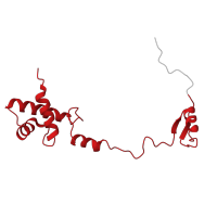 The deposited structure of PDB entry 6zlw contains 1 copy of Pfam domain PF00833 (Ribosomal S17) in Small ribosomal subunit protein eS17. Showing 1 copy in chain R [auth S].