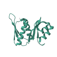 The deposited structure of PDB entry 6zlw contains 1 copy of Pfam domain PF00410 (Ribosomal protein S8) in Small ribosomal subunit protein uS8. Showing 1 copy in chain V [auth W].