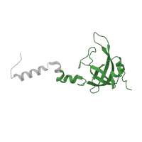 The deposited structure of PDB entry 6zlw contains 1 copy of Pfam domain PF00164 (Ribosomal protein S12/S23) in Small ribosomal subunit protein uS12. Showing 1 copy in chain W [auth X].