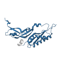 The deposited structure of PDB entry 6zlw contains 1 copy of Pfam domain PF01015 (Ribosomal S3Ae family) in Small ribosomal subunit protein eS1. Showing 1 copy in chain B [auth C].
