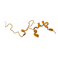 The deposited structure of PDB entry 6zlw contains 1 copy of Pfam domain PF00253 (Ribosomal protein S14p/S29e) in Small ribosomal subunit protein uS14. Showing 1 copy in chain EA [auth f].