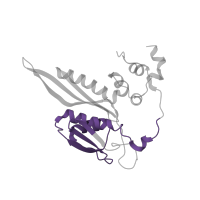 The deposited structure of PDB entry 6zlw contains 1 copy of Pfam domain PF03719 (Ribosomal protein S5, C-terminal domain) in Small ribosomal subunit protein uS5. Showing 1 copy in chain C [auth D].