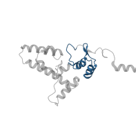 The deposited structure of PDB entry 6zlw contains 1 copy of Pfam domain PF01479 (S4 domain) in Small ribosomal subunit protein uS4. Showing 1 copy in chain I [auth J].