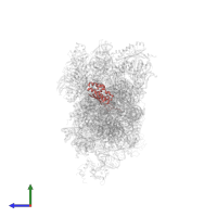 Small ribosomal subunit protein uS9 in PDB entry 6zlw, assembly 1, side view.