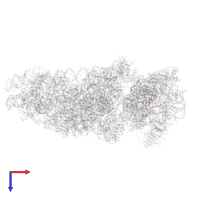 Ubiquitin-ribosomal protein eS31 fusion protein in PDB entry 6zlw, assembly 1, top view.