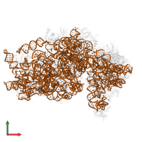 18S Ribosomal RNA in PDB entry 6zlw, assembly 1, front view.