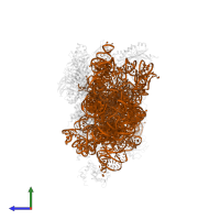 18S Ribosomal RNA in PDB entry 6zlw, assembly 1, side view.