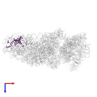 Small ribosomal subunit protein eS8 in PDB entry 6zlw, assembly 1, top view.