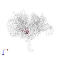 Large ribosomal subunit protein uL16m in PDB entry 6zm5, assembly 1, top view.