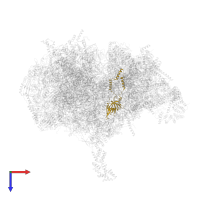 Large ribosomal subunit protein mL46 in PDB entry 6zm6, assembly 1, top view.