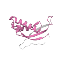 The deposited structure of PDB entry 6zm7 contains 1 copy of Pfam domain PF01198 (Ribosomal protein L31e) in Large ribosomal subunit protein eL31. Showing 1 copy in chain FA [auth Ld].