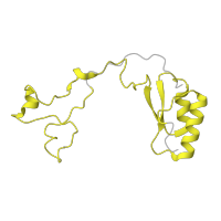 The deposited structure of PDB entry 6zm7 contains 1 copy of Pfam domain PF01655 (Ribosomal protein L32) in Large ribosomal subunit protein eL32. Showing 1 copy in chain GA [auth Le].