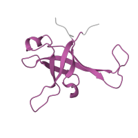 The deposited structure of PDB entry 6zm7 contains 1 copy of Pfam domain PF01247 (Ribosomal protein L35Ae) in Large ribosomal subunit protein eL33. Showing 1 copy in chain HA [auth Lf].