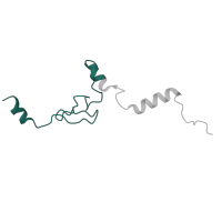 The deposited structure of PDB entry 6zm7 contains 1 copy of Pfam domain PF01907 (Ribosomal protein L37e) in Large ribosomal subunit protein eL37. Showing 1 copy in chain LA [auth Lj].