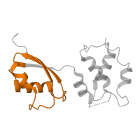 The deposited structure of PDB entry 6zm7 contains 1 copy of Pfam domain PF03946 (Ribosomal protein L11, N-terminal domain) in Large ribosomal subunit protein uL11. Showing 1 copy in chain UA [auth Lt].