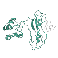 The deposited structure of PDB entry 6zm7 contains 1 copy of Pfam domain PF00687 (Ribosomal protein L1p/L10e family) in Large ribosomal subunit protein uL1. Showing 1 copy in chain VA [auth Lz].