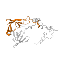 The deposited structure of PDB entry 6zm7 contains 1 copy of Pfam domain PF00181 (Ribosomal Proteins L2, RNA binding domain) in Large ribosomal subunit protein uL2. Showing 1 copy in chain D [auth LA].