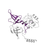 The deposited structure of PDB entry 6zm7 contains 1 copy of Pfam domain PF00900 (Ribosomal family S4e) in Small ribosomal subunit protein eS4, X isoform. Showing 1 copy in chain AB [auth SE].