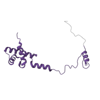 The deposited structure of PDB entry 6zm7 contains 1 copy of Pfam domain PF00833 (Ribosomal S17) in Small ribosomal subunit protein eS17. Showing 1 copy in chain IB [auth SR].