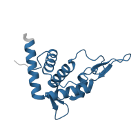 The deposited structure of PDB entry 6zm7 contains 1 copy of Pfam domain PF01090 (Ribosomal protein S19e) in Small ribosomal subunit protein eS19. Showing 1 copy in chain KB [auth ST].