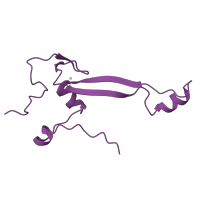 The deposited structure of PDB entry 6zm7 contains 1 copy of Pfam domain PF01283 (Ribosomal protein S26e) in Small ribosomal subunit protein eS26. Showing 1 copy in chain OB [auth Sa].