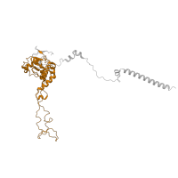 The deposited structure of PDB entry 6zm7 contains 1 copy of Pfam domain PF00573 (Ribosomal protein L4/L1 family) in Large ribosomal subunit protein uL4. Showing 1 copy in chain F [auth LC].