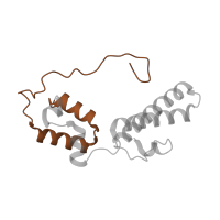 The deposited structure of PDB entry 6zm7 contains 1 copy of Pfam domain PF08069 (Ribosomal S13/S15 N-terminal domain) in Small ribosomal subunit protein uS15. Showing 1 copy in chain WB [auth SN].