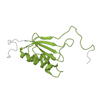 The deposited structure of PDB entry 6zm7 contains 1 copy of Pfam domain PF00411 (Ribosomal protein S11) in Small ribosomal subunit protein uS11. Showing 1 copy in chain XB [auth SO].