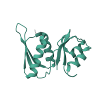 The deposited structure of PDB entry 6zm7 contains 1 copy of Pfam domain PF00410 (Ribosomal protein S8) in Small ribosomal subunit protein uS8. Showing 1 copy in chain YB [auth SW].
