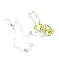 The deposited structure of PDB entry 6zm7 contains 1 copy of Pfam domain PF01159 (Ribosomal protein L6e) in Large ribosomal subunit protein eL6. Showing 1 copy in chain H [auth LE].