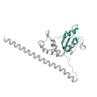 The deposited structure of PDB entry 6zm7 contains 1 copy of Pfam domain PF00327 (Ribosomal protein L30p/L7e) in Large ribosomal subunit protein uL30. Showing 1 copy in chain I [auth LF].