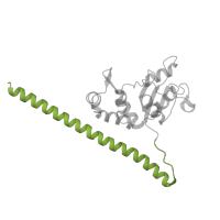 The deposited structure of PDB entry 6zm7 contains 1 copy of Pfam domain PF08079 (Ribosomal L30 N-terminal domain) in Large ribosomal subunit protein uL30. Showing 1 copy in chain I [auth LF].