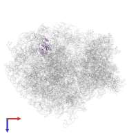 Large ribosomal subunit protein eL20 in PDB entry 6zm7, assembly 1, top view.