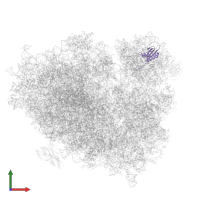 Small ribosomal subunit protein uS9 in PDB entry 6zm7, assembly 1, front view.